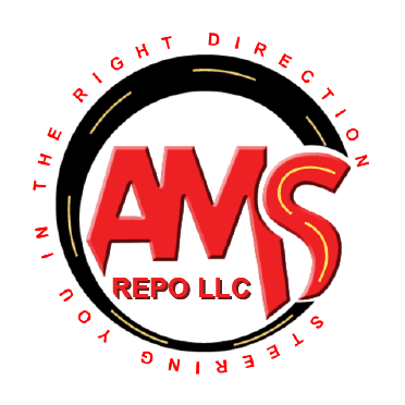 AMS-REPO LLC